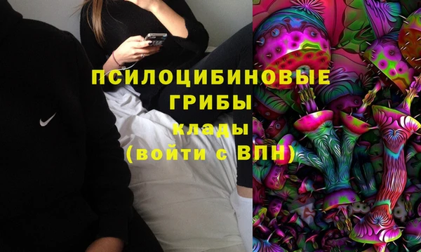 ешки Абинск