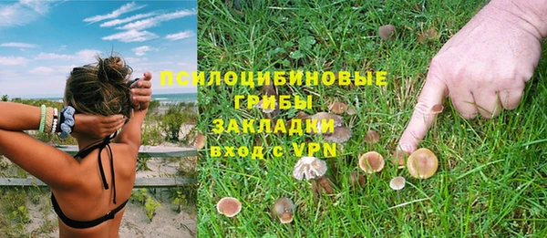 ешки Абинск
