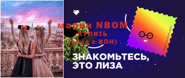 хмурый Янаул