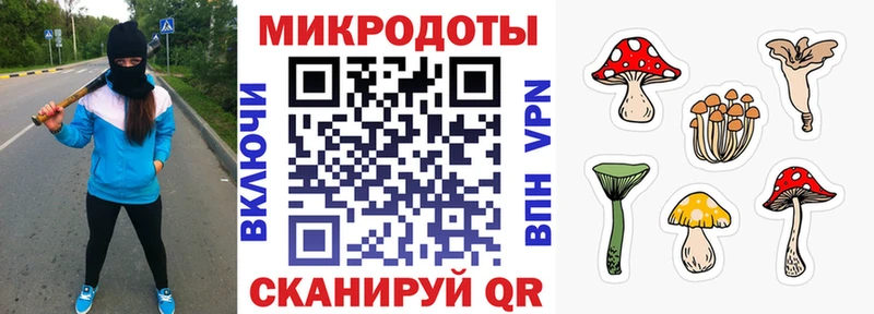Псилоцибиновые грибы Psilocybine cubensis  мориарти состав  Мурино 