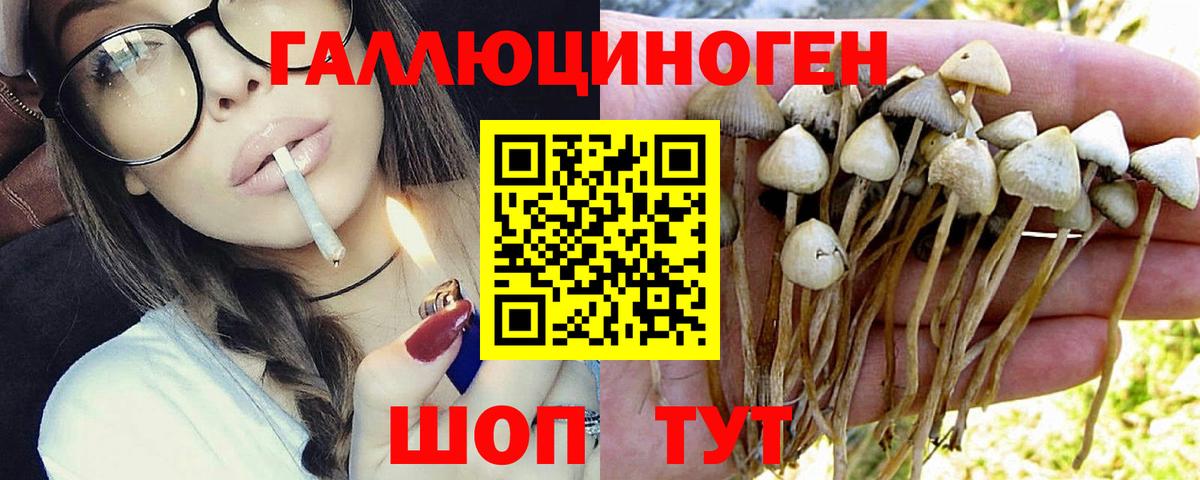 Мурино  Псилоцибиновые грибы Magic Shrooms  Псилоцибиновые грибы мицелий  Вход с VPN 