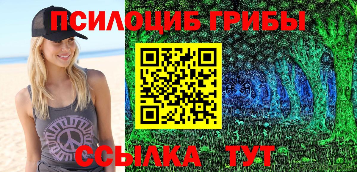 Галлюциногенные грибы Cubensis Мурино