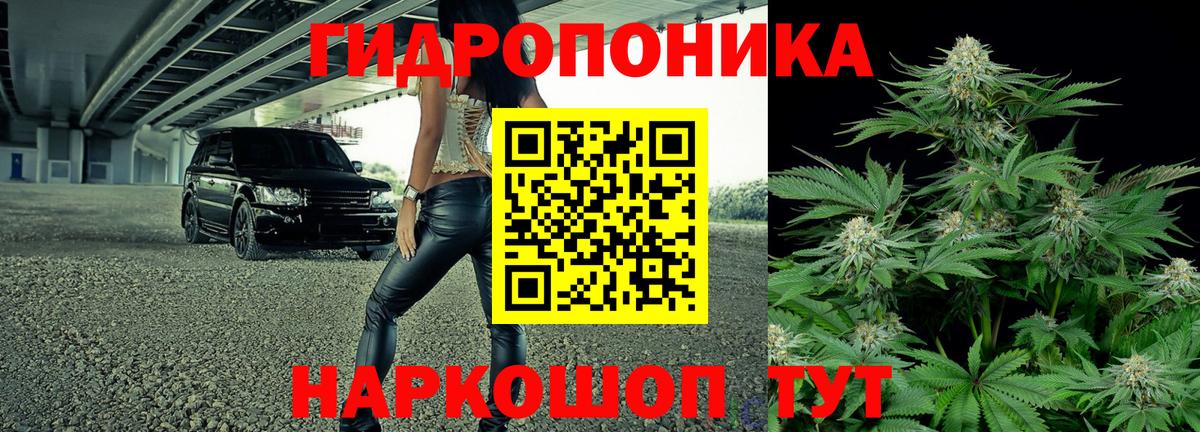 Канабис MAZAR  Конопля THC 21%  Вход с VPN  Шишки марихуана AK-47  Мурино 